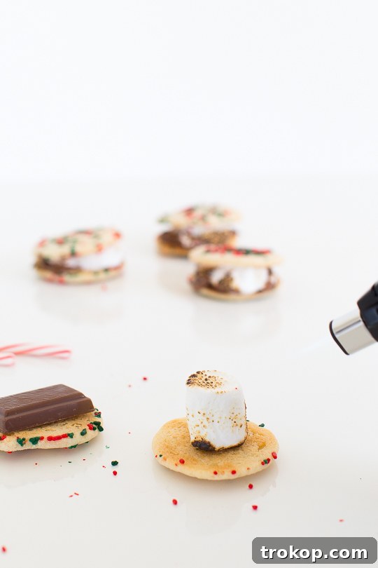 Festive Cookie Smores Delight 5 Christmas cookie smores recipe - Sugar & Cloth