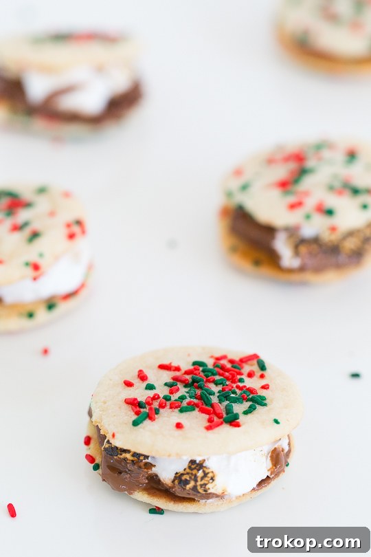 Festive Cookie Smores Delight 7 Christmas cookie smores recipe - Sugar & Cloth