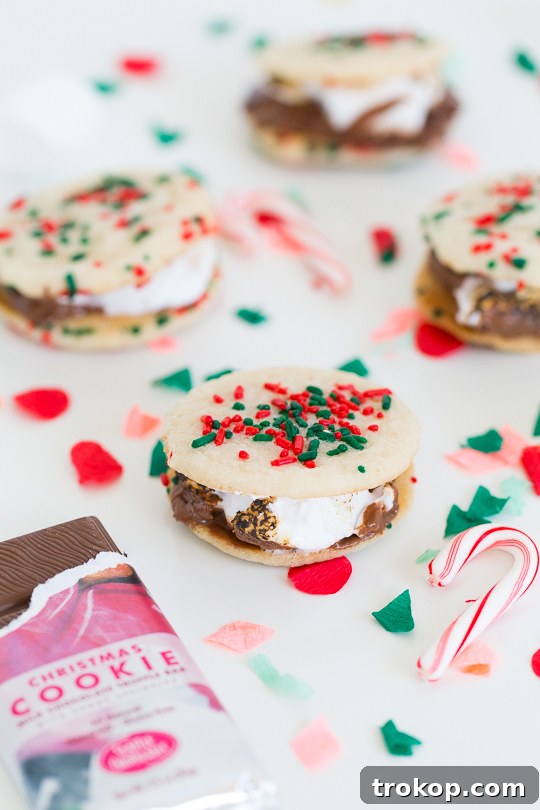 Festive Cookie Smores Delight 8 Christmas cookie smores recipe - Sugar & Cloth