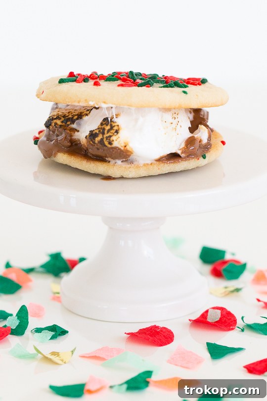 Festive Cookie Smores Delight 9 Christmas cookie smores recipe - Sugar & Cloth