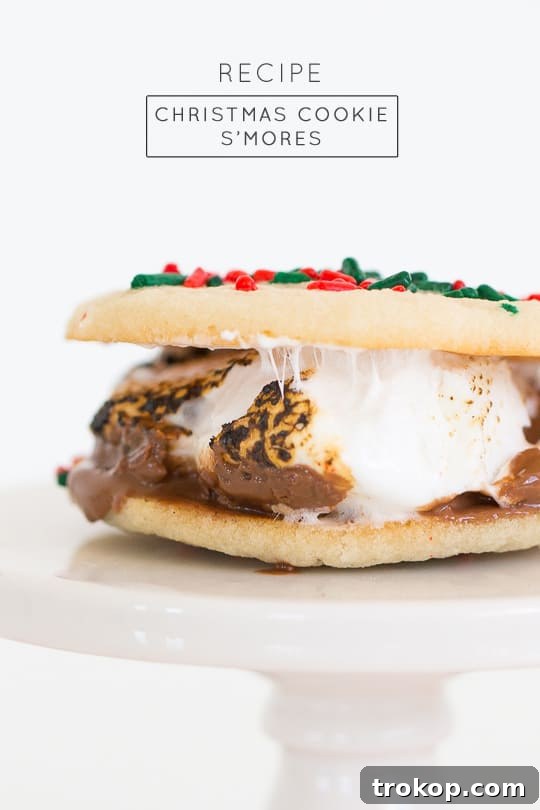 Festive Cookie Smores Delight 10 Christmas cookie smores recipe - Sugar & Cloth