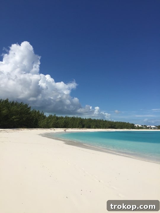 Exumas and Sandals Emerald Bay: A Bahamian Escape 12 Our trip to The Exumas and Sandals Emerald Bay - Sugar & Cloth - Ashley Rose - Travel Blogger