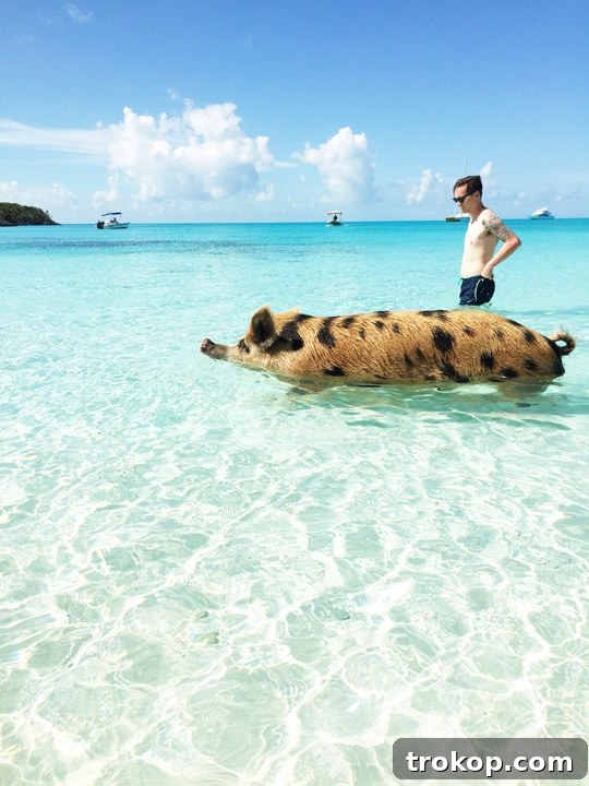 Exumas and Sandals Emerald Bay: A Bahamian Escape 22 Our trip to The Exumas and Sandals Emerald Bay - Sugar & Cloth - Ashley Rose - Travel Blogger