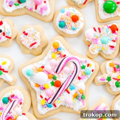 Sweet Everything Sugar Cookies aka Pinterest Failproof! - Sugar & Cloth