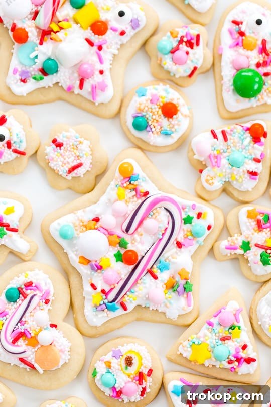 Sweet Everything Sugar Cookies aka Pinterest Failproof! - Sugar & Cloth