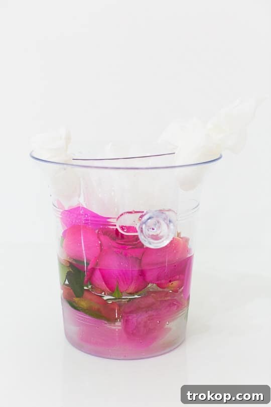 DIY frozen wine bucket - sugar & cloth 