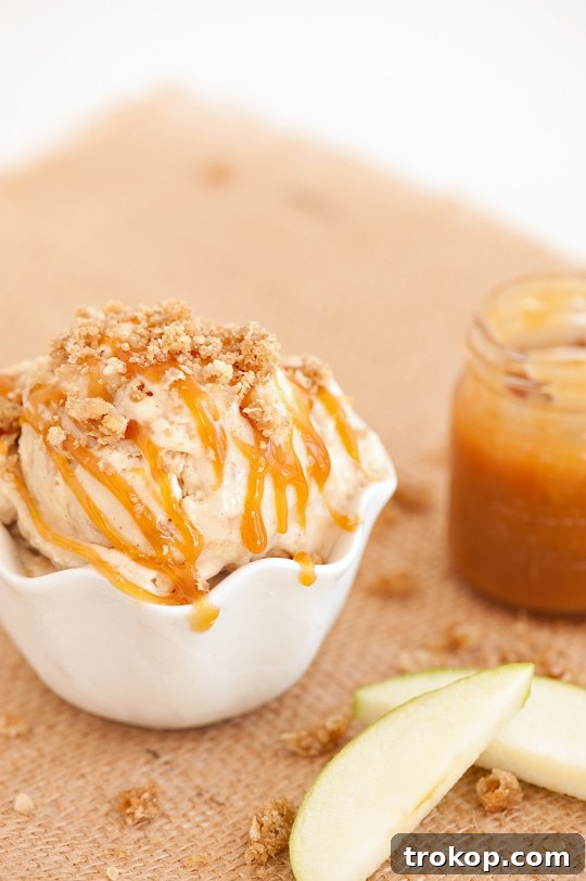 Decadent Caramel Apple Crumble Ice Cream 11 Two scoops of Caramel Apple Crumble Ice Cream in a glass bowl with a spoon