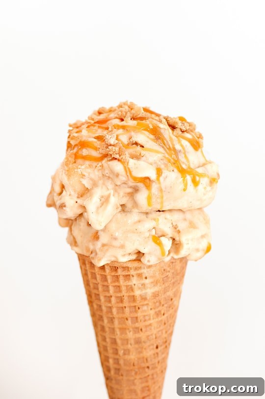 Decadent Caramel Apple Crumble Ice Cream 3 Close-up of homemade Caramel Apple Crumble Ice Cream with visible apple and crumble chunks