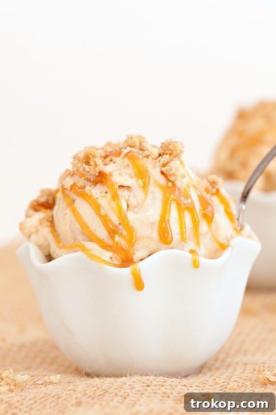 Decadent Caramel Apple Crumble Ice Cream 4 Ingredients laid out for Caramel Apple Crumble Ice Cream preparation