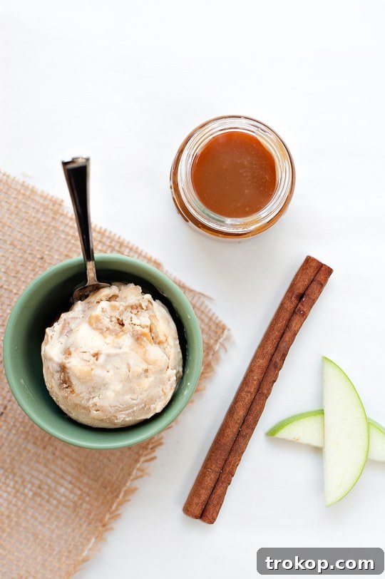 Decadent Caramel Apple Crumble Ice Cream 9 Scoops of Caramel Apple Crumble Ice Cream in a bowl