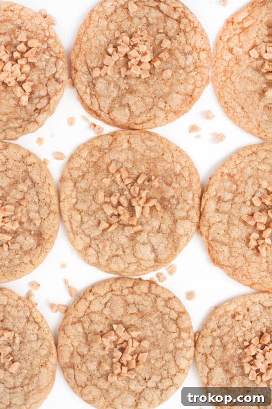 Brown Butter Toffee Cookies: Bake, Bag, & Share 2 Brown Butter Toffee Cookie Recipe - sugar and cloth