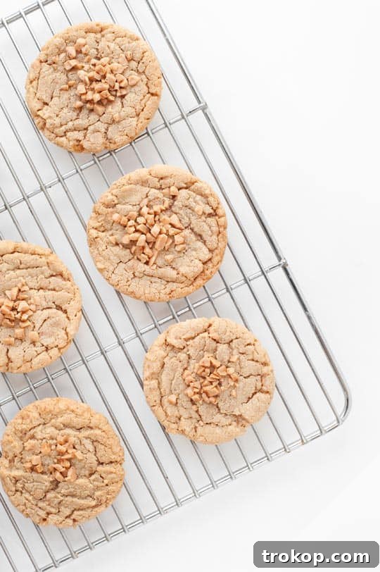 Brown Butter Toffee Cookies: Bake, Bag, & Share 3 Brown Butter Toffee Cookie Recipe - sugar and cloth