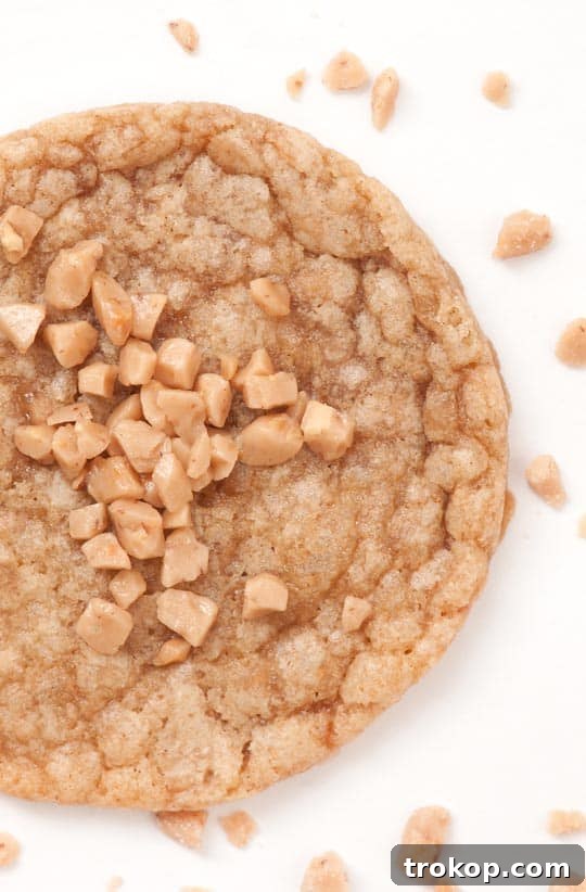 Brown Butter Toffee Cookies: Bake, Bag, & Share 4 Brown Butter Toffee Cookie Recipe - sugar and cloth
