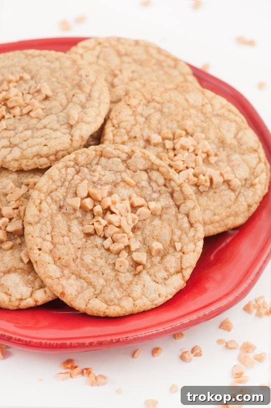 Brown Butter Toffee Cookies: Bake, Bag, & Share 9 Brown Butter Toffee Cookie Recipe - sugar and cloth