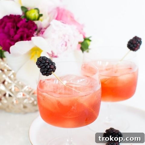 3-Ingredient Blackberry Champagne Fizz 12 blackberry champagne punch recipe - sugar and cloth