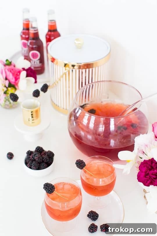 3-Ingredient Blackberry Champagne Fizz 4 A glass of Blackberry Champagne Punch garnished with fresh blackberries