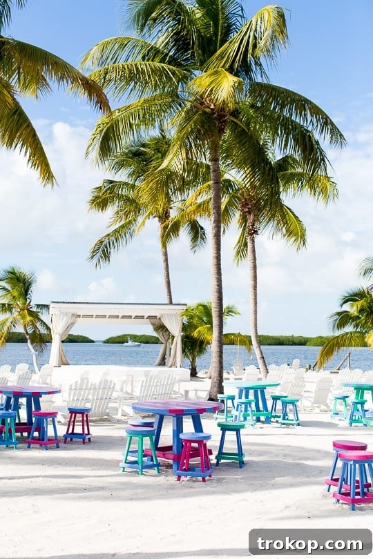 Miami and Key West: The Ultimate Coastal Journey 12 Tropical plants and architecture in Miami