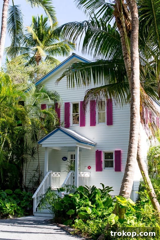 Miami and Key West: The Ultimate Coastal Journey 14 Coastal beauty of the Florida Keys