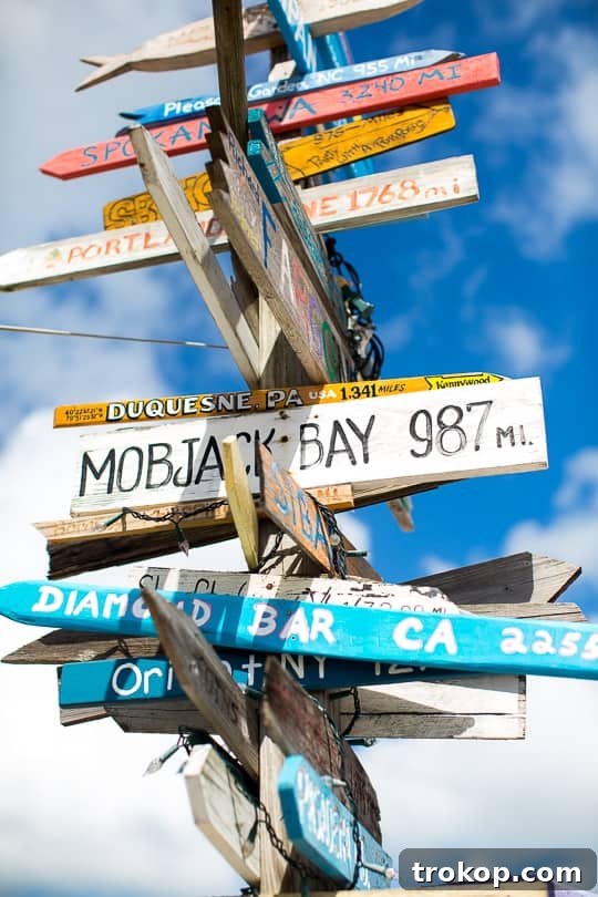 Miami and Key West: The Ultimate Coastal Journey 15 Azure waters and clear skies in the Keys