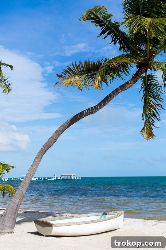 Miami and Key West: The Ultimate Coastal Journey 3 Vibrant South Beach Miami street scene