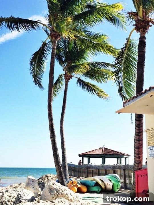 Miami and Key West: The Ultimate Coastal Journey 22 Sunset cruise on a schooner in Key West