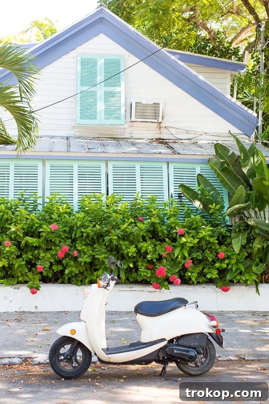 Miami and Key West: The Ultimate Coastal Journey 28 Beautiful blue ocean along the Keys