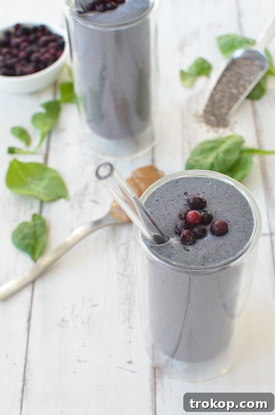 Cleanse & Recharge: Dairy-Free Green Detox Smoothie 2 Invigorating Detox Green Smoothie for a Healthy Start