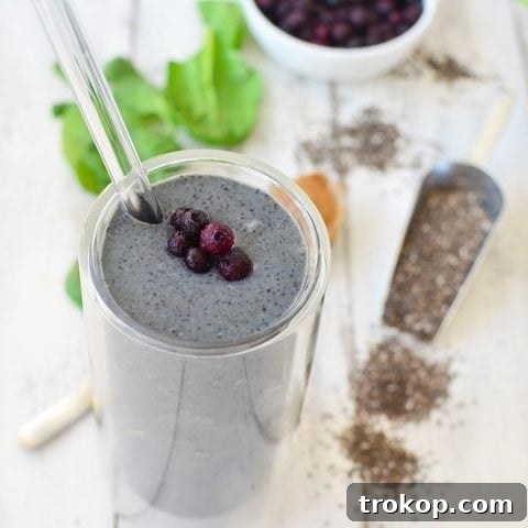 detox green smoothie recipe - sugar and cloth