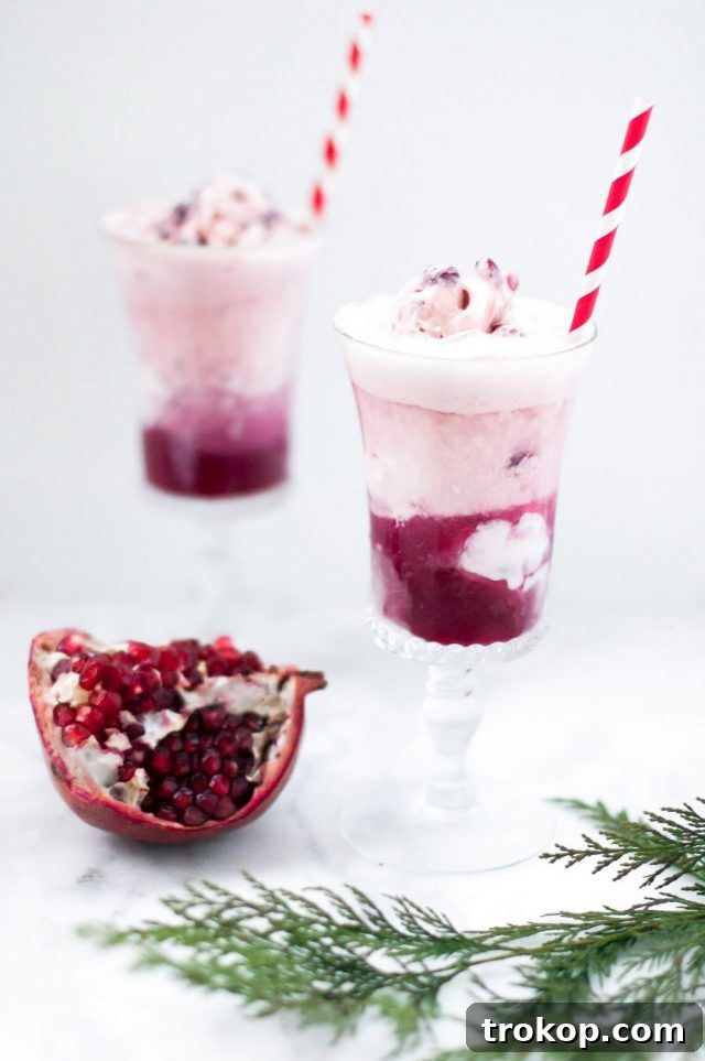 Spiked Orange Pomegranate Float 2 A vibrant Boozy Orange Pomegranate Float, garnished with fresh pomegranate seeds and an orange slice, perfect for winter entertaining.