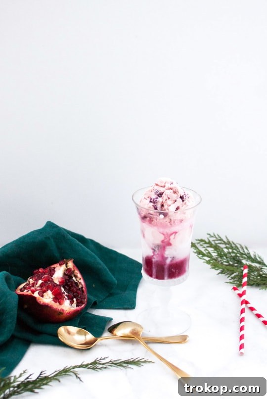 Spiked Orange Pomegranate Float 9 A perfectly crafted Boozy Orange Pomegranate Float in a tall glass, ready to be enjoyed with a spoon.