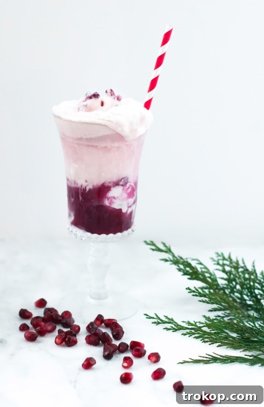 Spiked Orange Pomegranate Float 10 Multiple Boozy Orange Pomegranate Floats arranged beautifully, ideal for a festive gathering or holiday celebration.