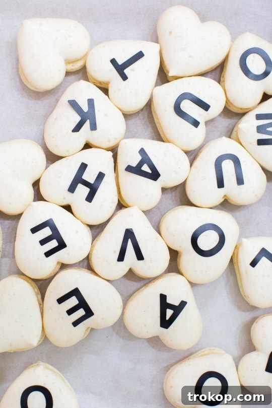 Handcrafted Ombré Message Macarons 7 DIY gradient message macarons - sugar and cloth