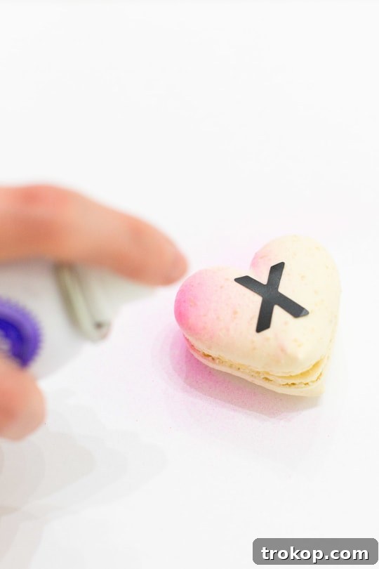 Handcrafted Ombré Message Macarons 8 DIY Gradient Conversation Hearts-2