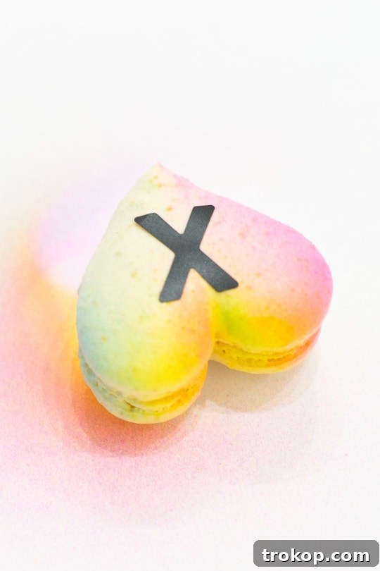 Handcrafted Ombré Message Macarons 9 DIY Gradient Conversation Hearts-3