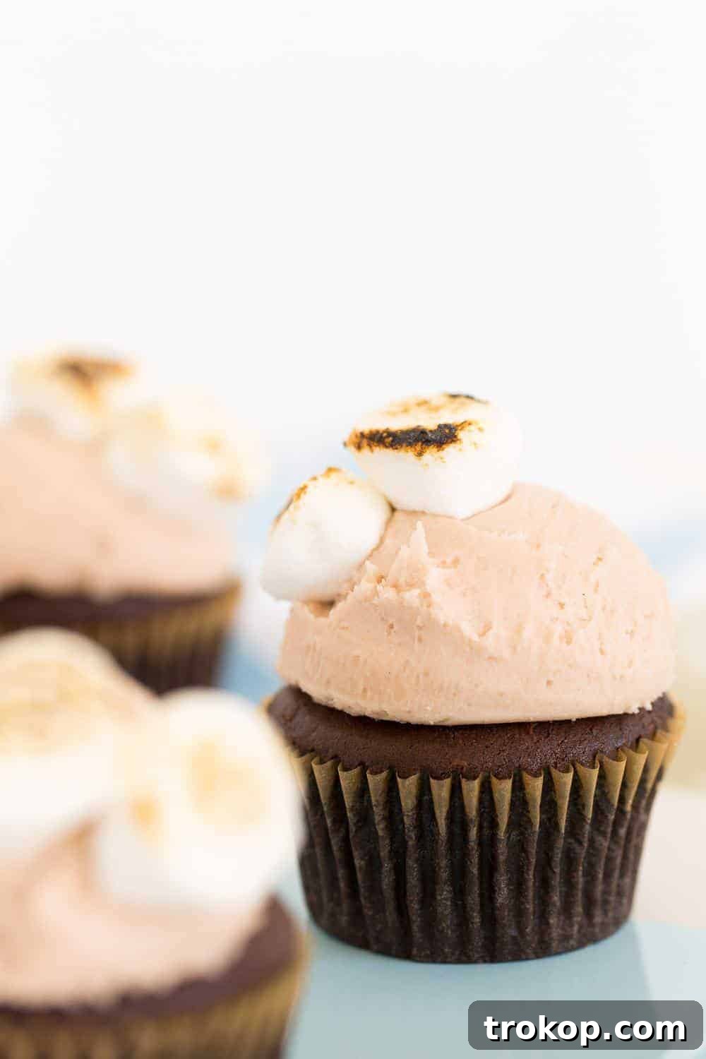 A beautifully arranged plate of Dunkin' Donuts Hot Chocolate Cupcakes with toasted marshmallow topping.