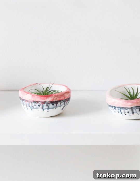 Collection of finished mini clay plant pots in various colors with air plants