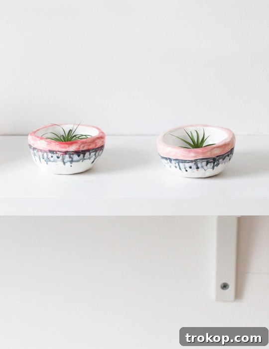 Set of three mini clay drip planters with air plants on a wooden surface