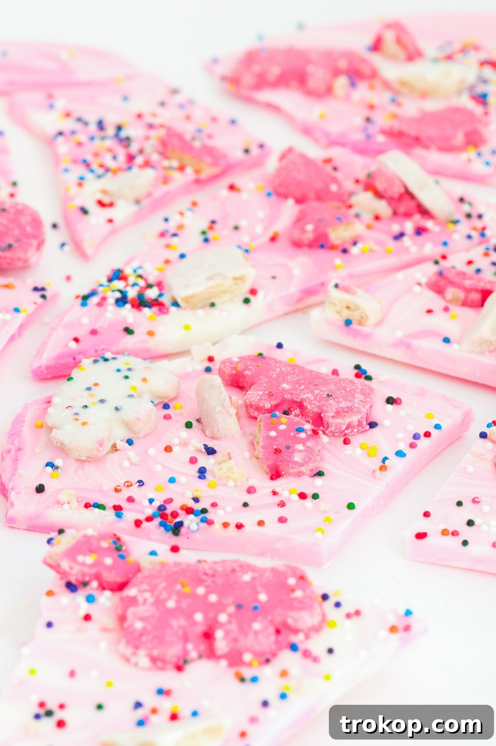 Frosted Carnival Cookie Crunch 5 Delicious Chocolate Bark with Circus Animal Cookies