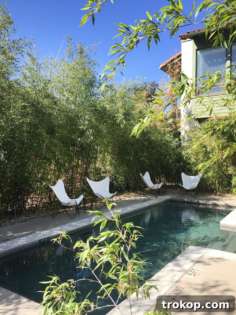 Beyond the Lens: Latest Insights 2/26 5 Hotel San Jose Austin Texas - Boutique Hotel Charm and Aesthetics