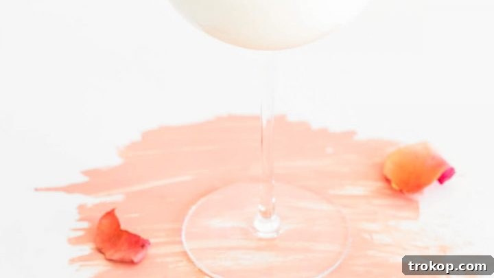 Glossary of Macarons Cocktail