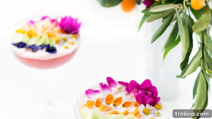 Edible Flower Rainbow Sour Cocktail