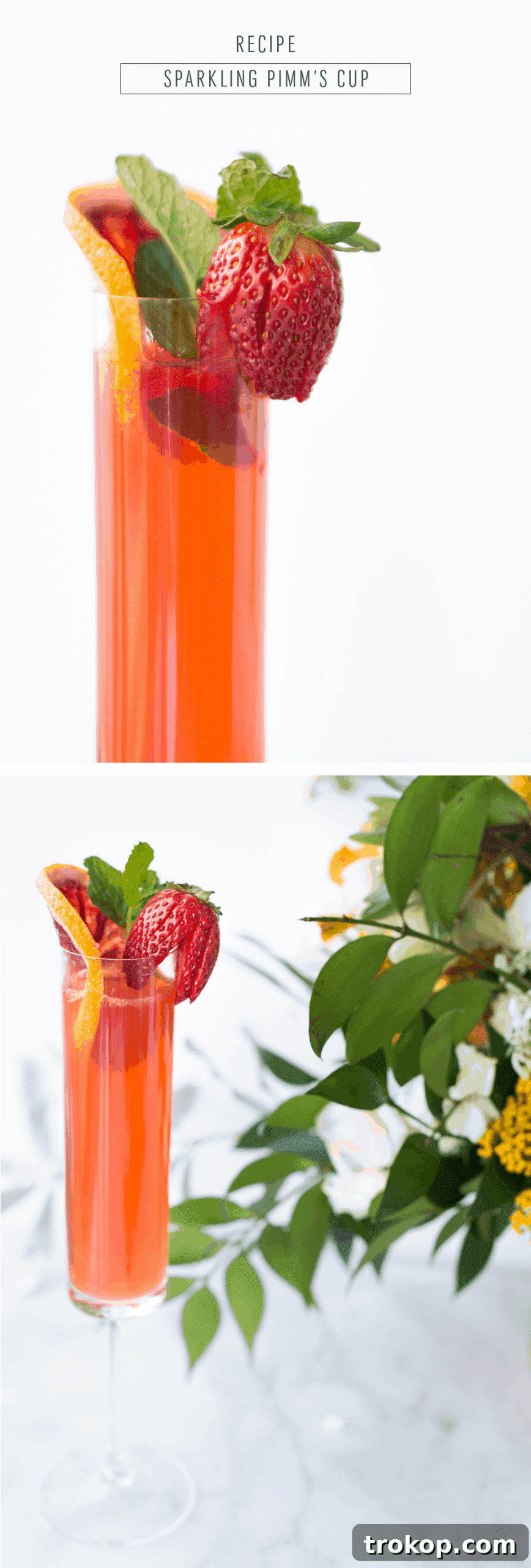 Summer Pimms Sparkler 34 Long Pin Template