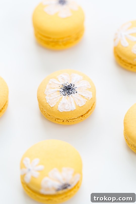 Finished DIY wildflower macarons displayed for Easter