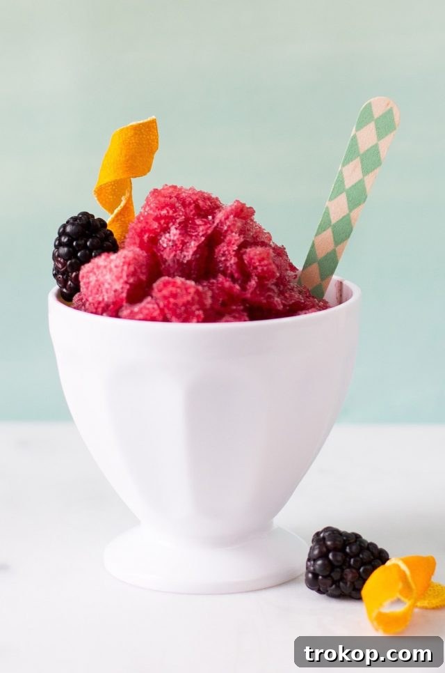 Perfect Sage Blackberry Margarita Granita Recipe 2 A vibrant bowl of Sage Blackberry Margarita Granita, ready to be enjoyed