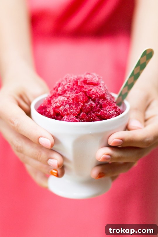 Perfect Sage Blackberry Margarita Granita Recipe 3 Close-up of the delicious blackberry sage margarita granita in a clear bowl
