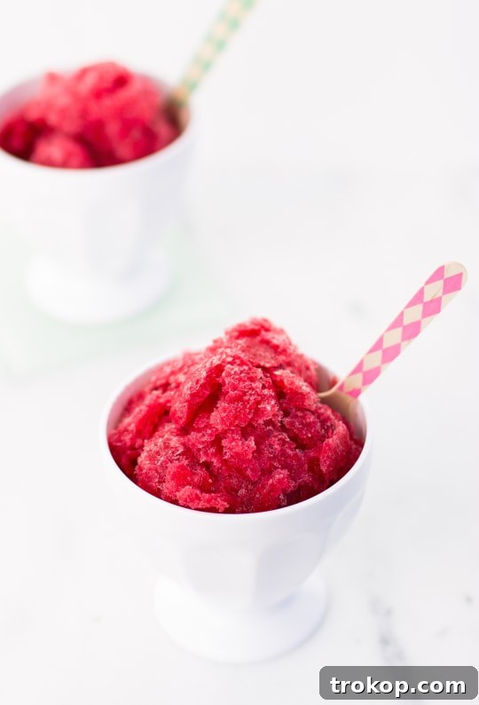 Perfect Sage Blackberry Margarita Granita Recipe 4 A close-up shot of the granita's delicate, icy texture