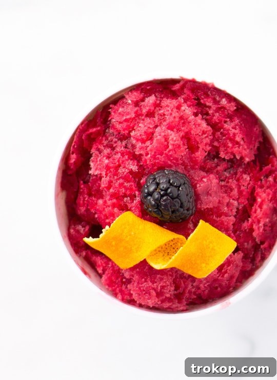 Perfect Sage Blackberry Margarita Granita Recipe 6 A beautifully presented serving of Sage Blackberry Margarita Granita