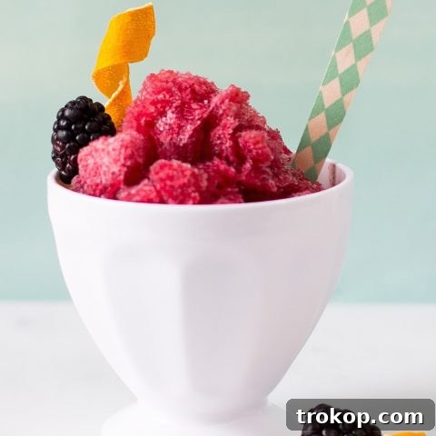 Perfect Sage Blackberry Margarita Granita Recipe 8 photo of a blackberry sage margarita granita recipe in a bowl