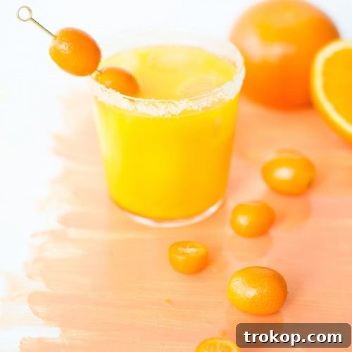 Orange Margarita Recipe for flavored margarita recipes