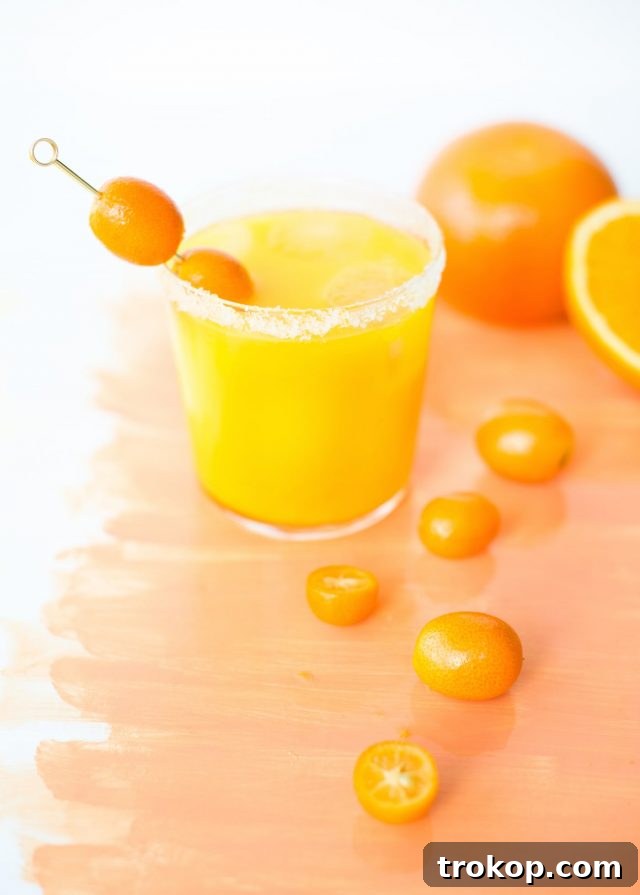 Orange Margarita Recipe for flavored margarita recipes